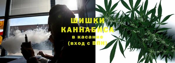 PSILOCYBIN Абаза