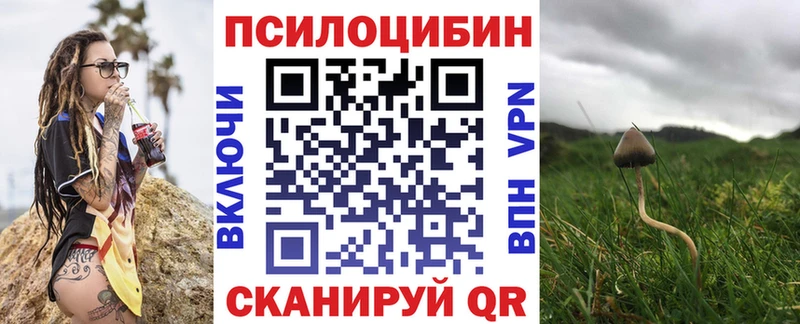 Псилоцибиновые грибы Psilocybe  Ростов-на-Дону 