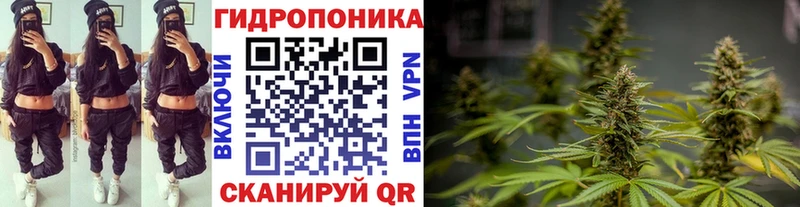 Канабис THC 21% кракен как зайти Ростов-на-Дону
